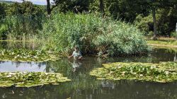 08-PXL_20250711_092924095